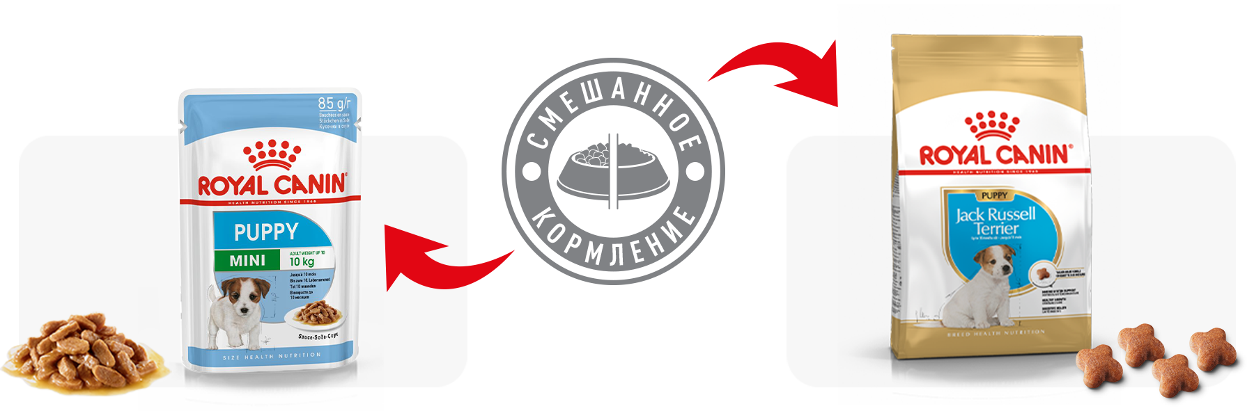 Рекомендации по кормлению