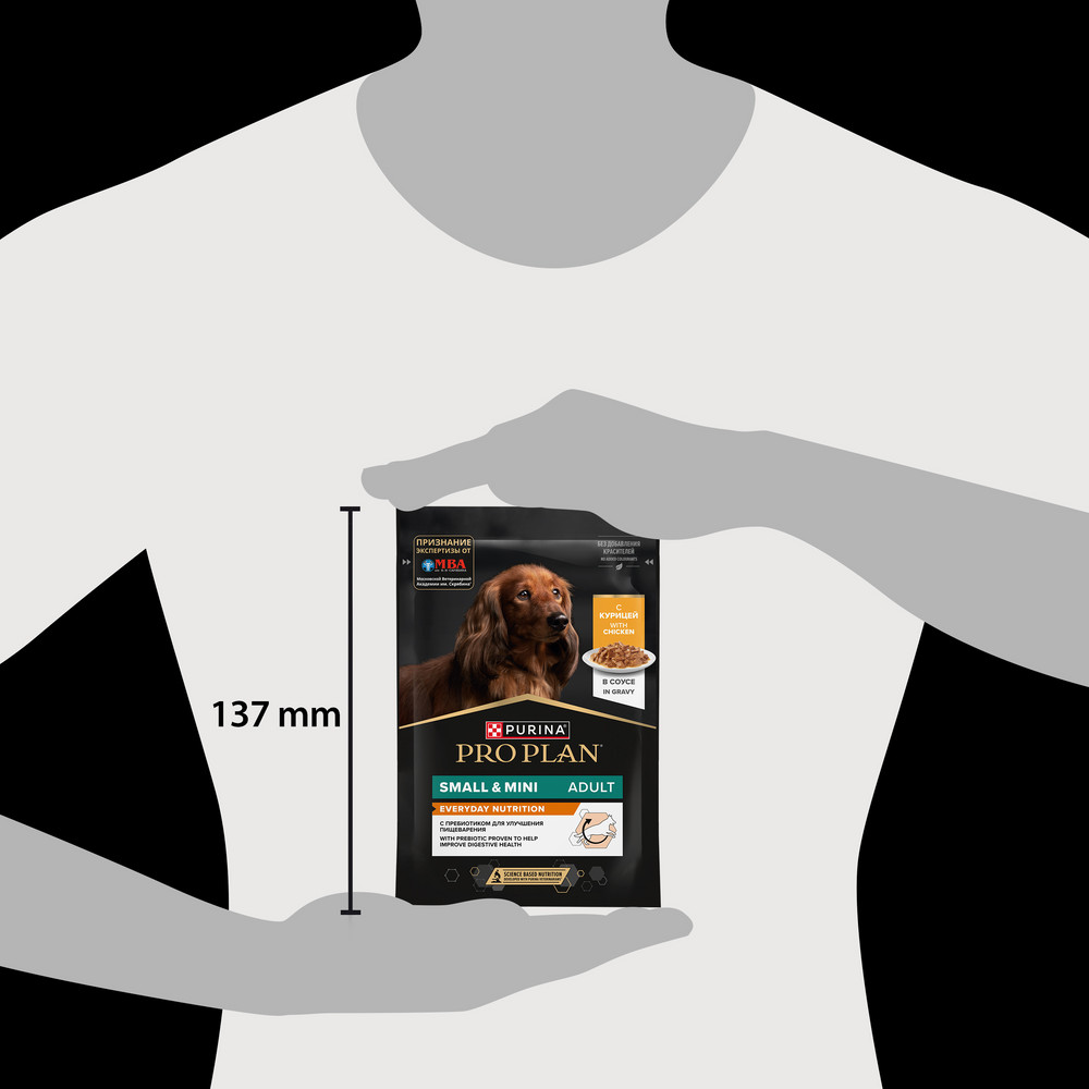 57a43ef4-bed0-4e81-92bb-8bc08c17dcd4