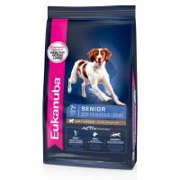 SENIOR_MEDIUM_BREED_LAMB_1