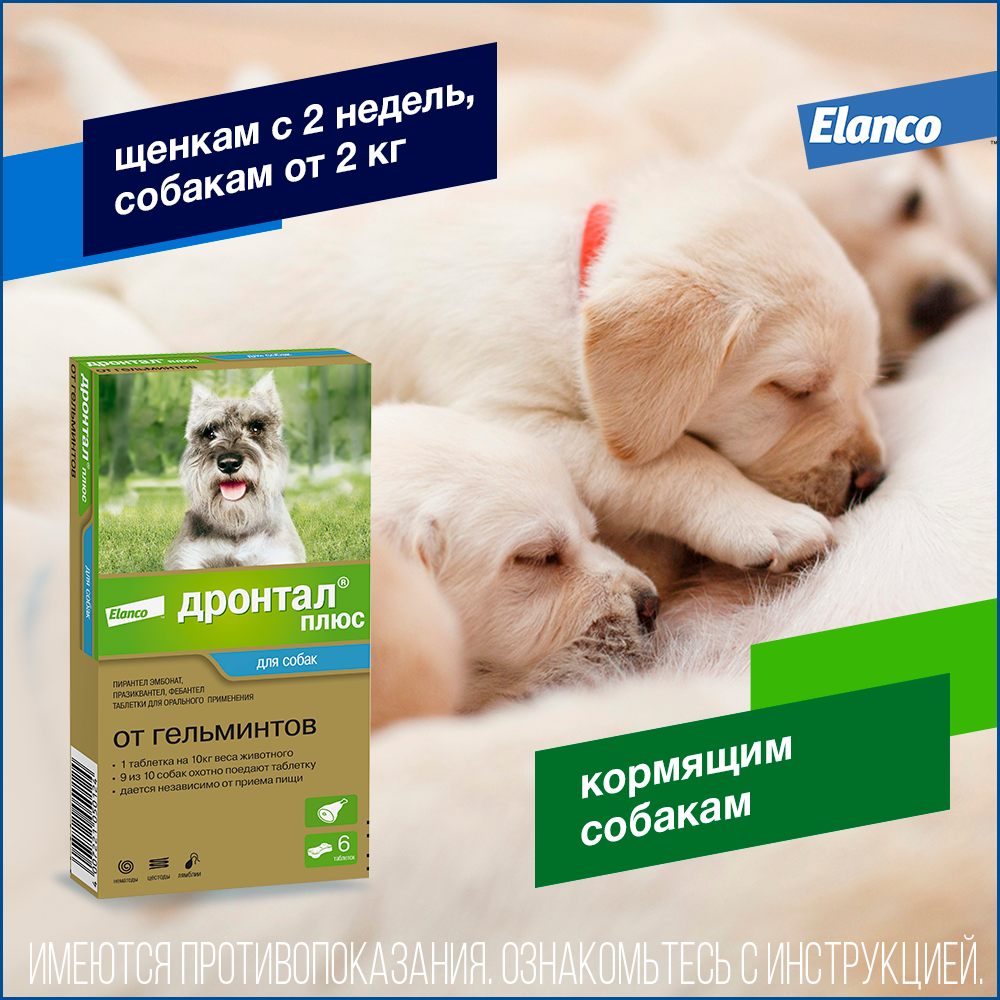 6. Drontal dog_6tab_puppy