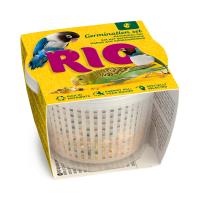 RIO_germination set_face