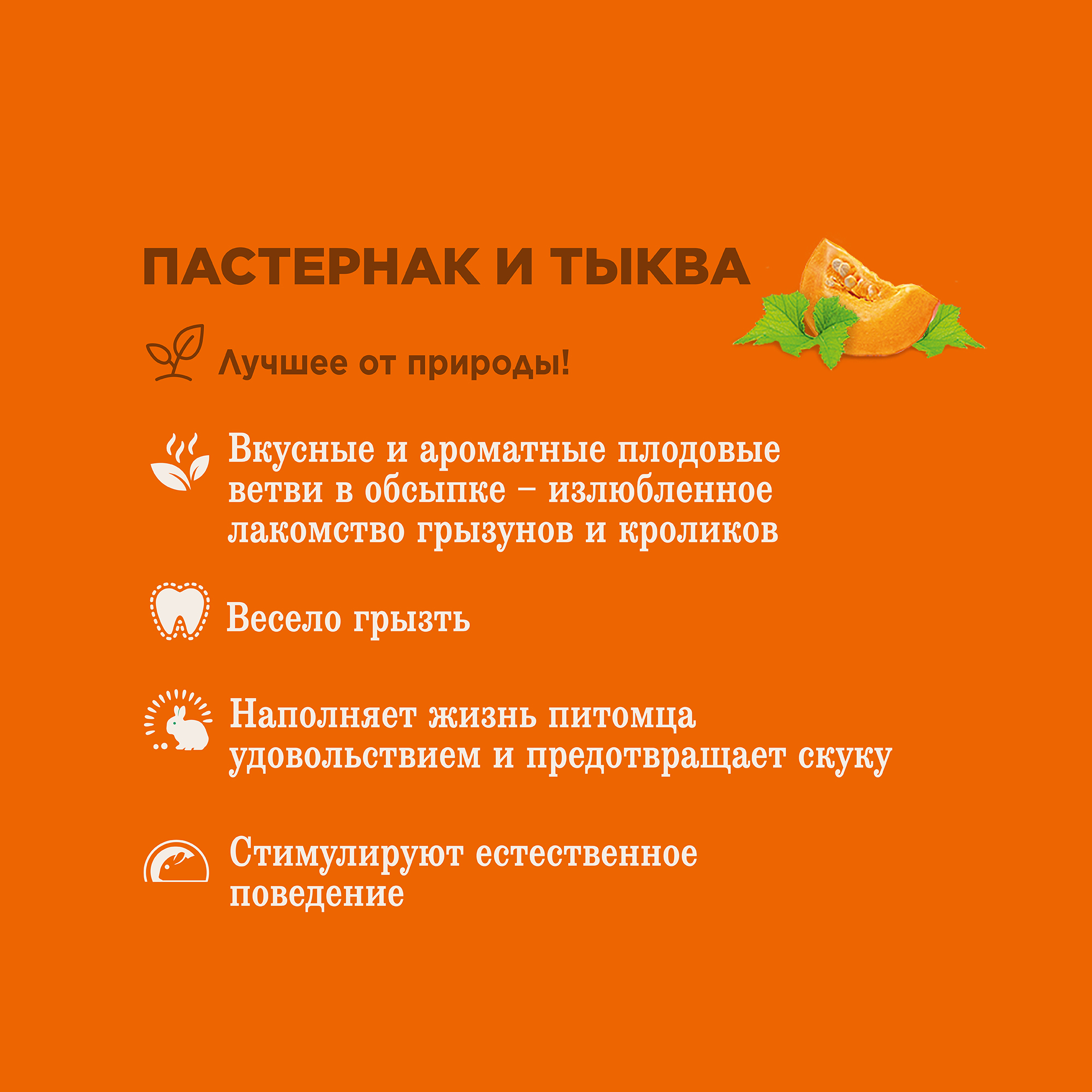 Little One_Yummy branches_parsnip&pumpkin_plus