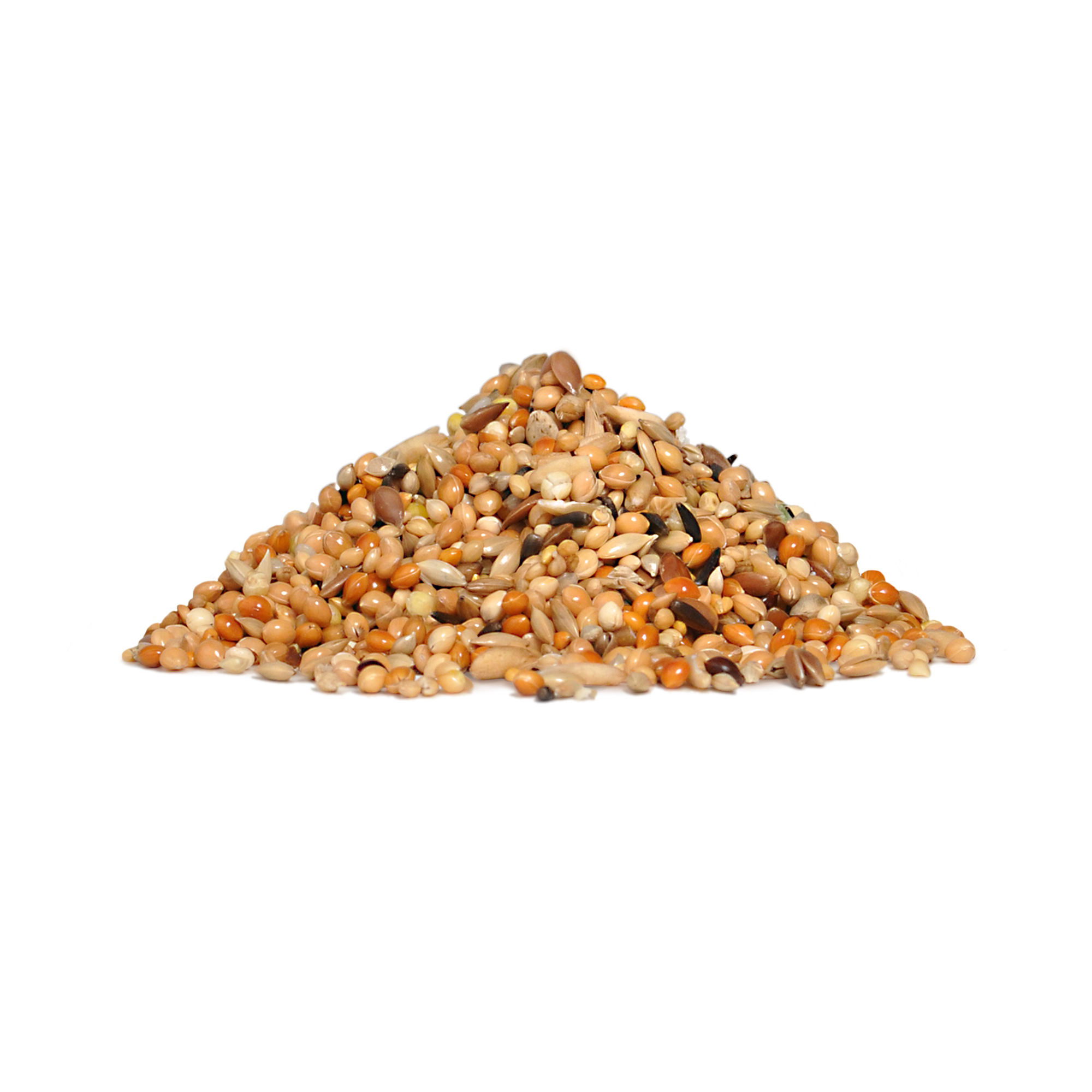 RIO_feed_budgies_show