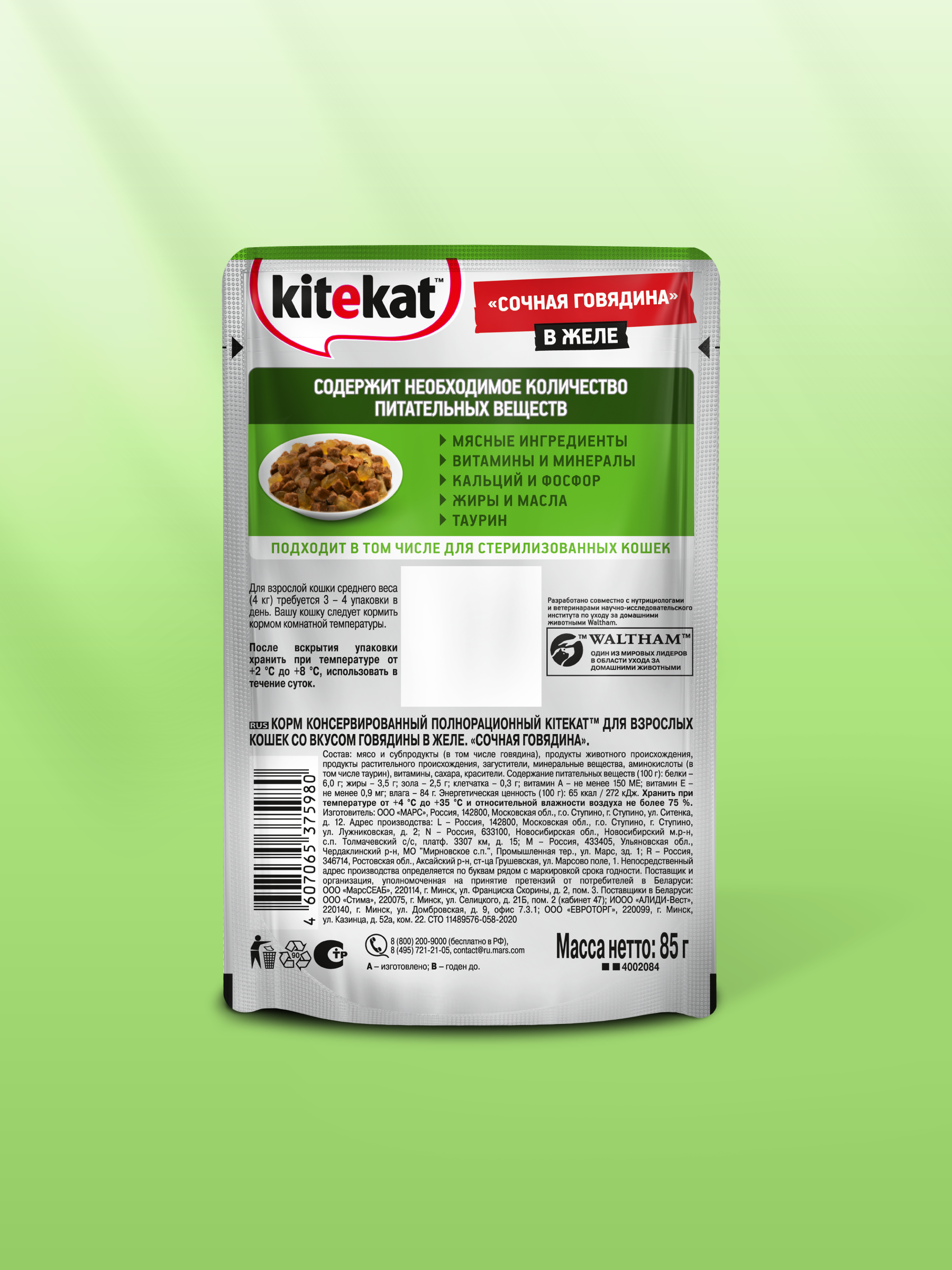 KEK_ECOMM_WET01_34_2025.09.16_wet_green_background_Beef_Jelly_Back
