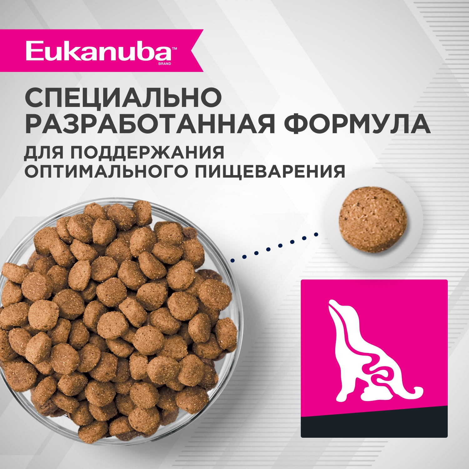 4-6 - СУХОЙ - ДЛЯ ЩЕНКОВ МИНИАТЮРНЫХ ПОРОД — копия