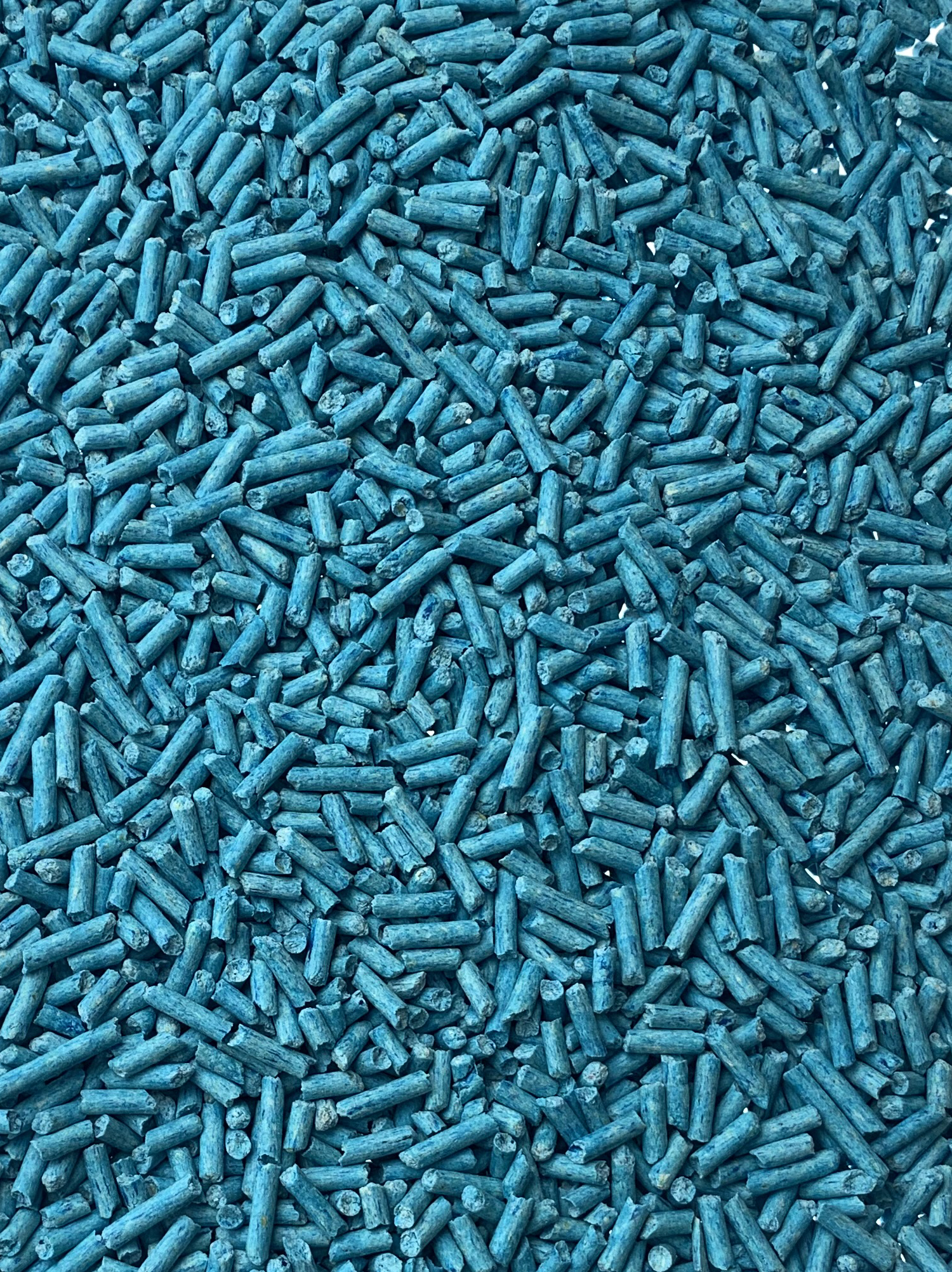 1 Gentlemen_enzymes 2