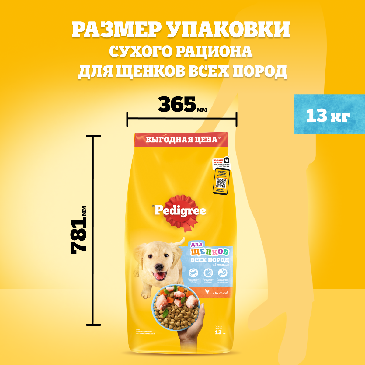 PDG_Dry_Size_13_Puppies