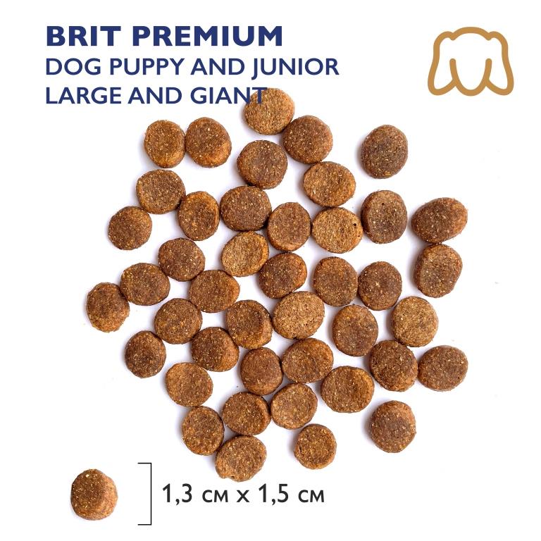 Dog_гранулы для поста_Dog Puppy and Junior Large and Giant