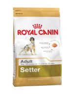 Royal Canin Setter 27