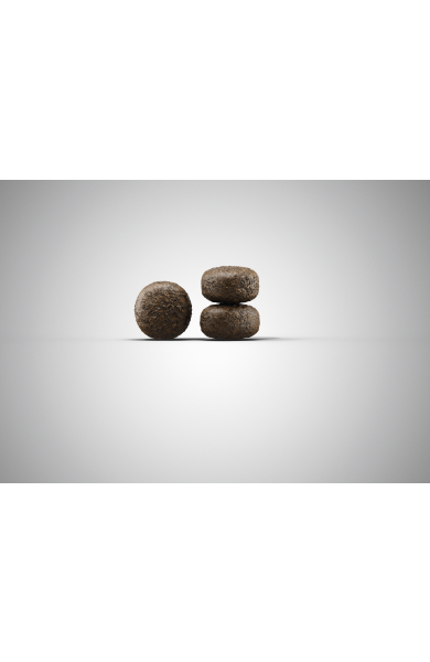 josera-light-and-vital-dog-food-croquette