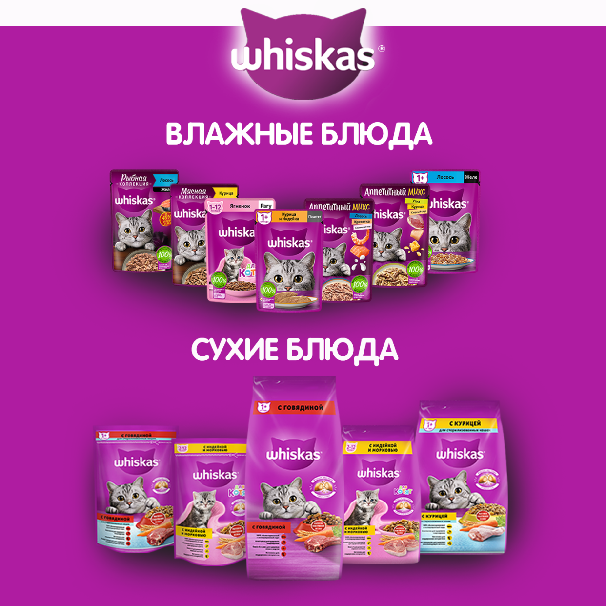 WHS_Kitten_2-12_Cards_2023.04.12_05 (4)