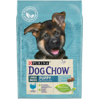 9825d750-8f9c-11ea-b0fe-a2a23790eccc