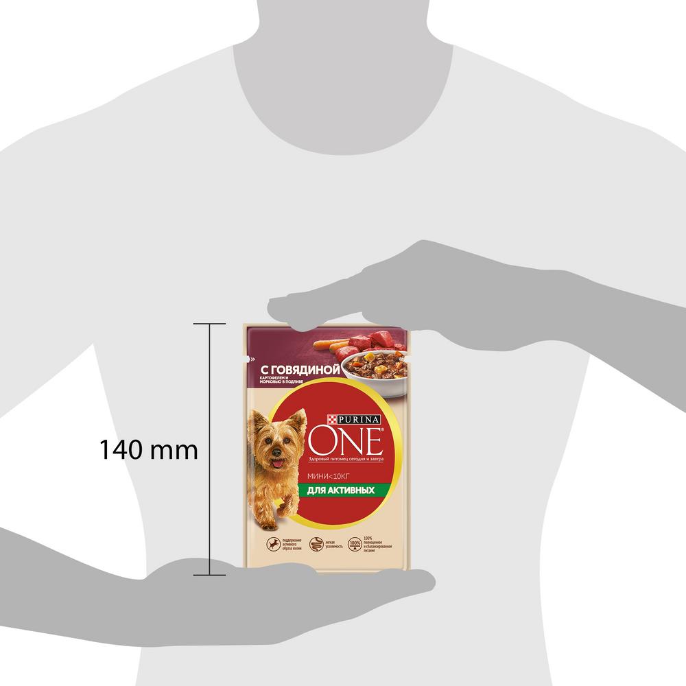 9c807b20-e517-4675-8419-07fea94c5ddd