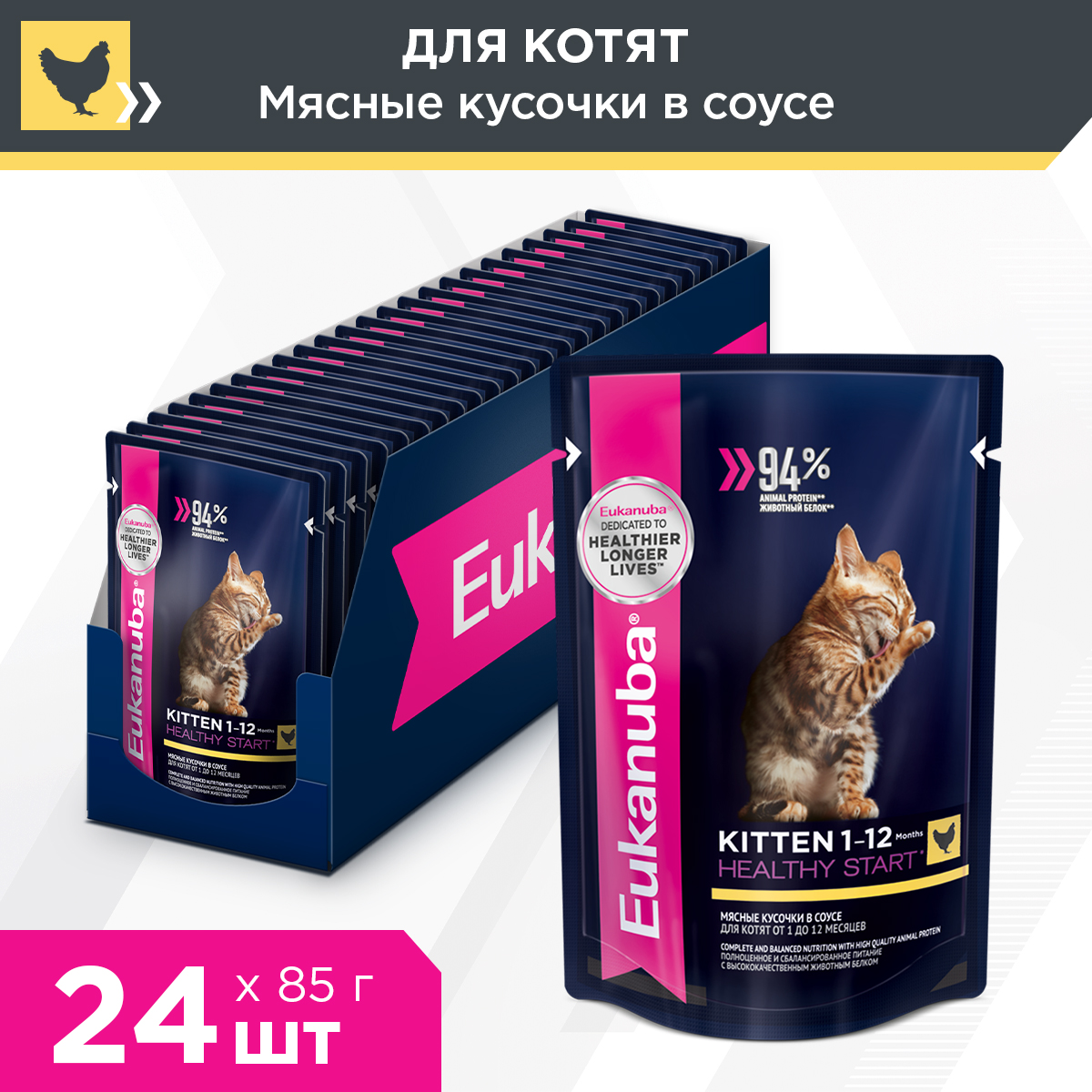 cat-kitten-wet_24x85g