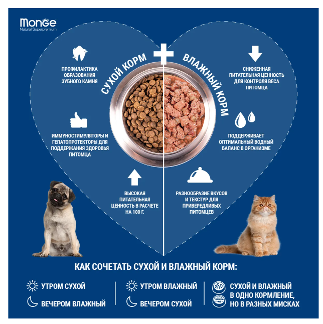 Снимок экрана 2023-08-09 130102