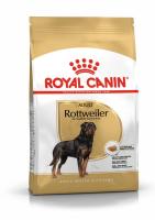 ad-rottweiler-packshot-bhn18