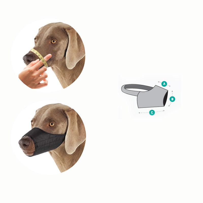 good-3120be85-b204-11e5-a945-005056bf744c