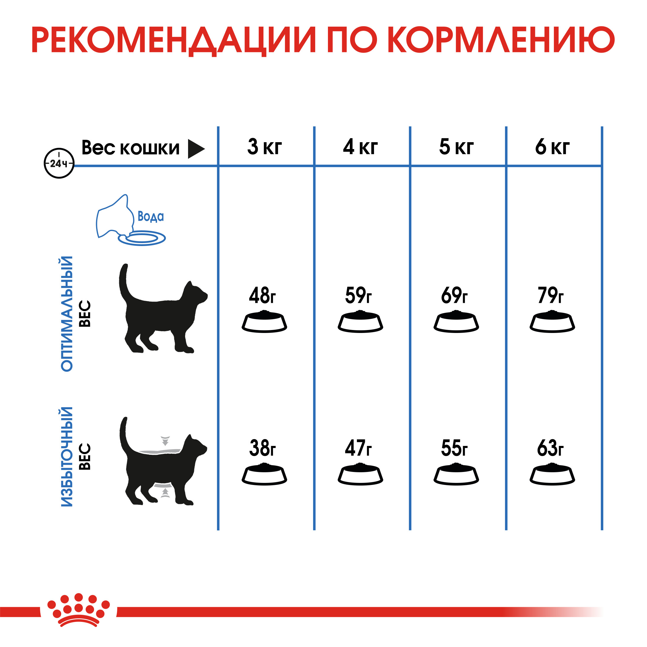 7_RC-FCN-LightWeight-CV-Eretailkit-5_Editable_Version_202486 RUS