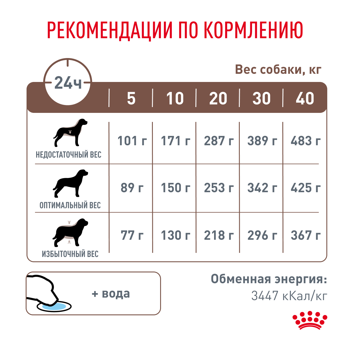 Dog_Gastrointestial_Dry_7