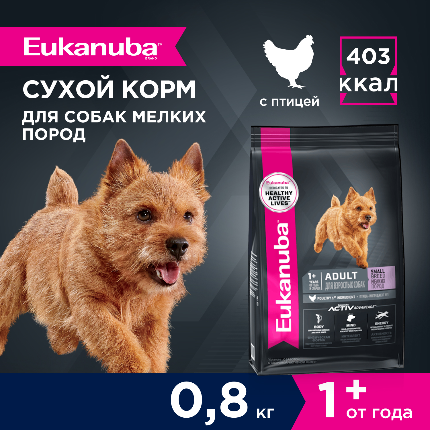 2-800g-dry_Adult-Small-Breed