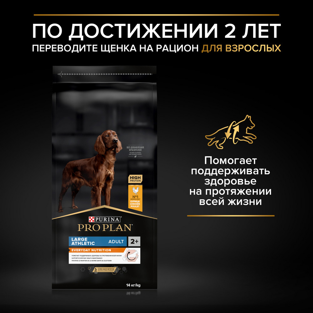 33d829d7-a067-4338-8827-5e5936470be6