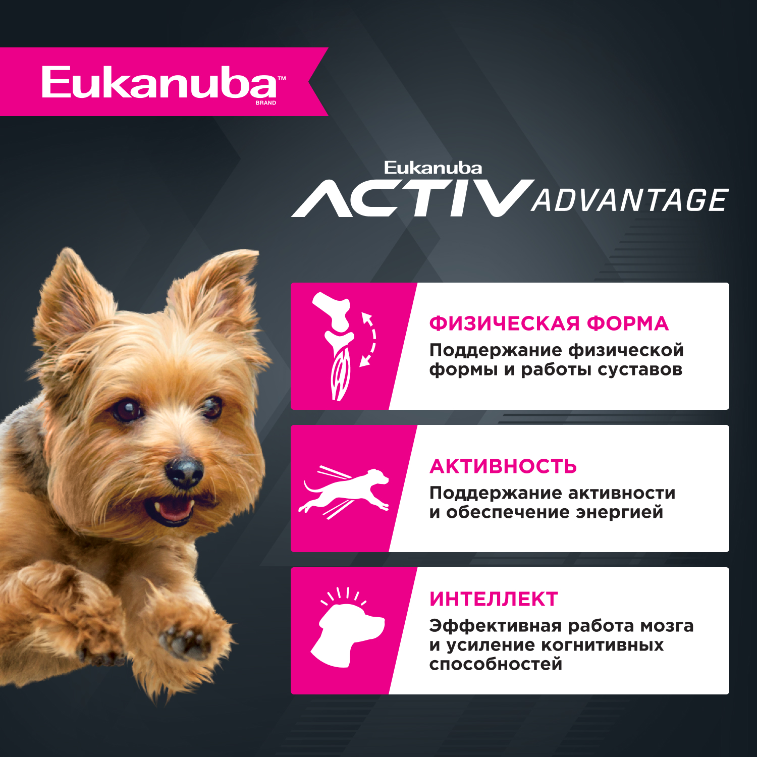 3-dry_Adult-Small-Breed
