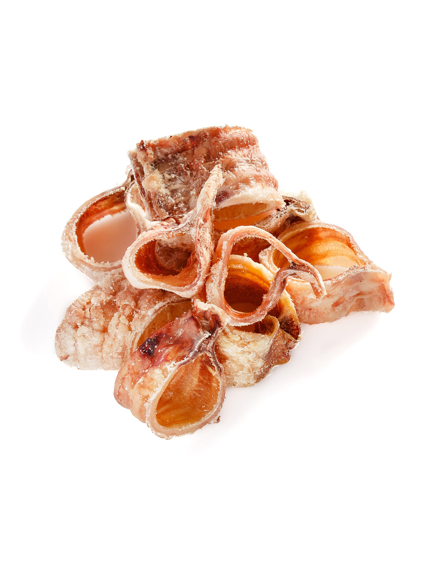 BD   Трахея резаная кольцами