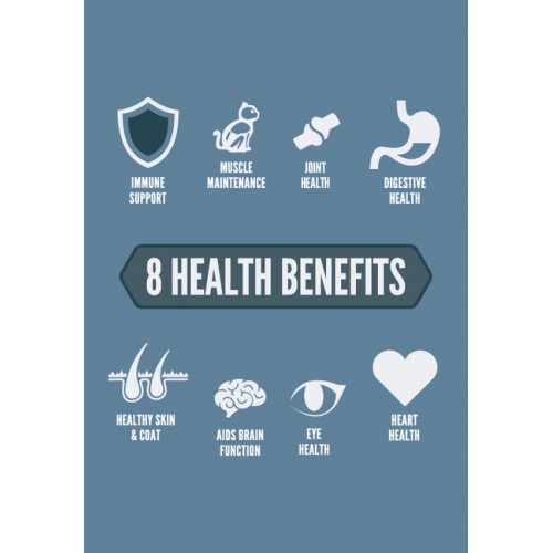 orijen cat guardian 4-500x500