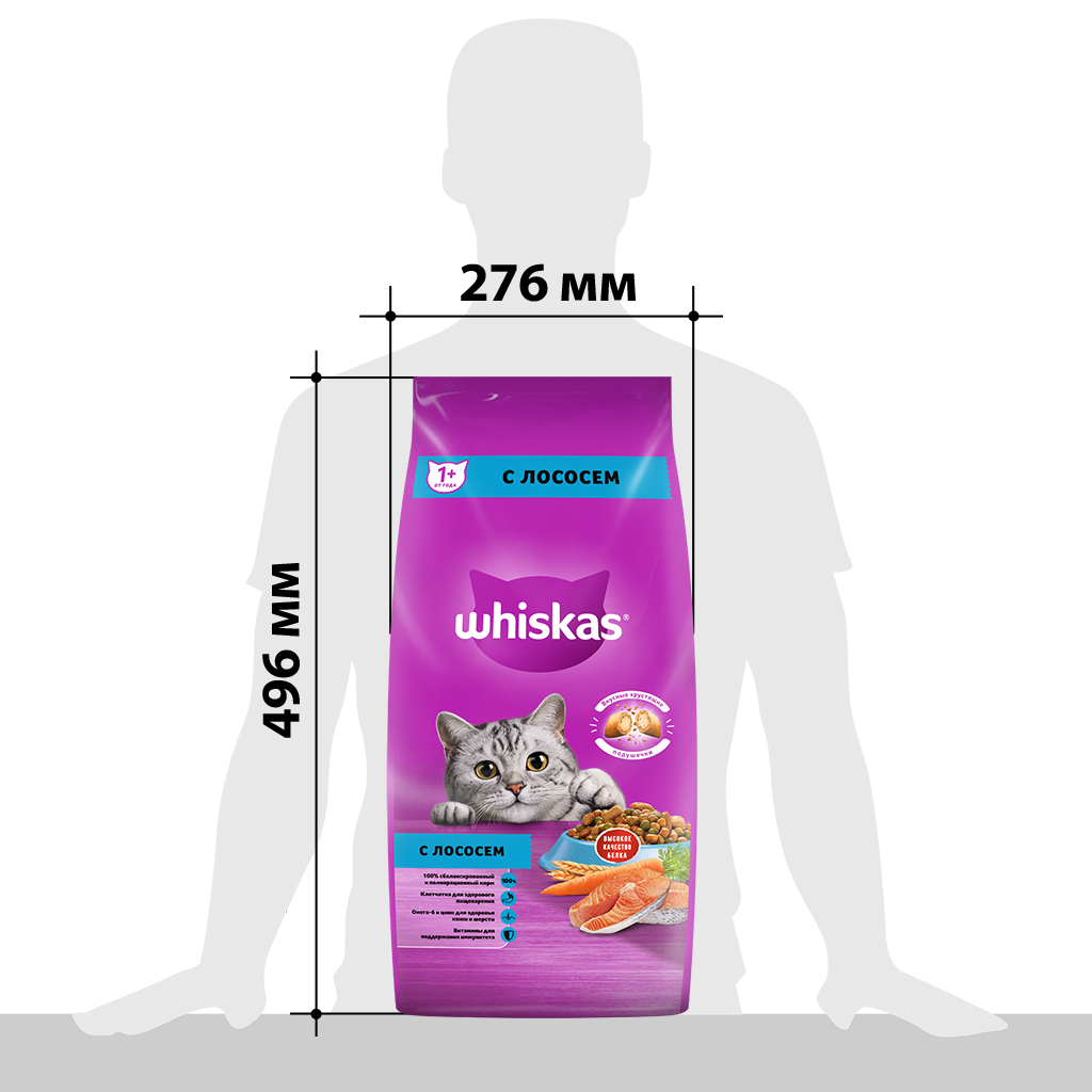 с-лососем_5-1