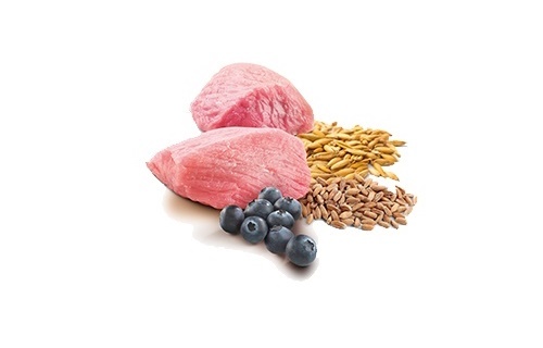 Farmina консервы для взрослых собак, низкозерновые, ягненок с черникой