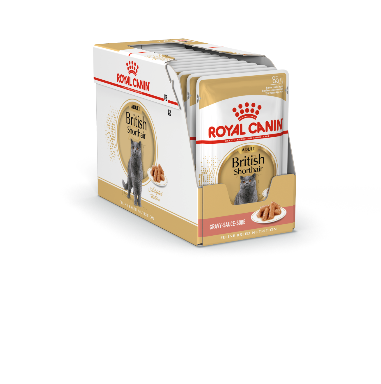 4_Британская короткошерстная (соус)_1