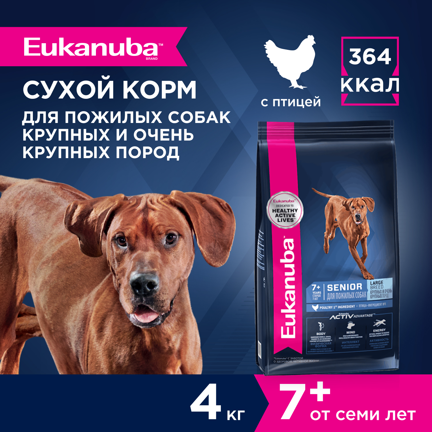 2-4kg-dry_Senior-Large-Breed