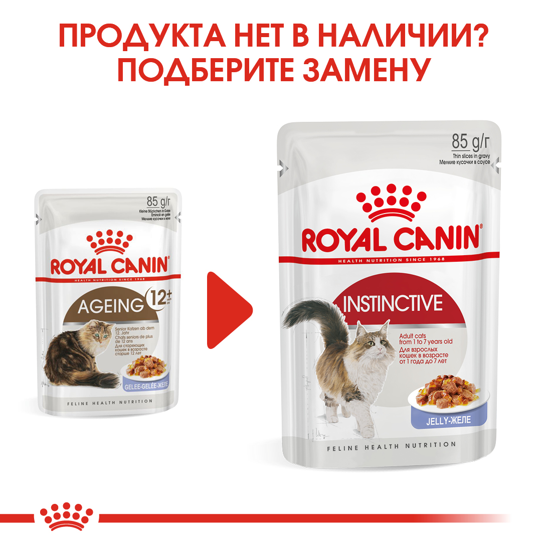 zamena_AGEING +12 (желе)