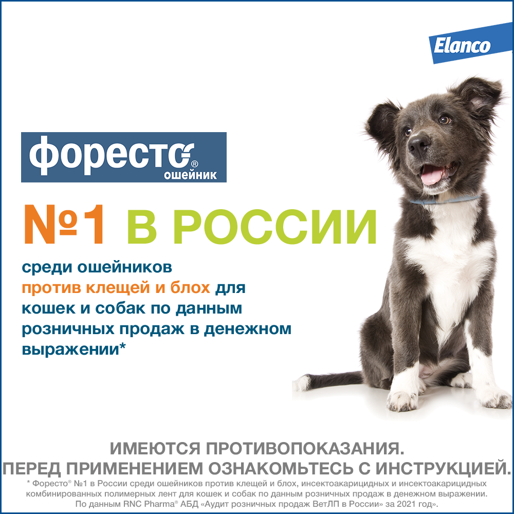 14.Foresto gold small dog_best