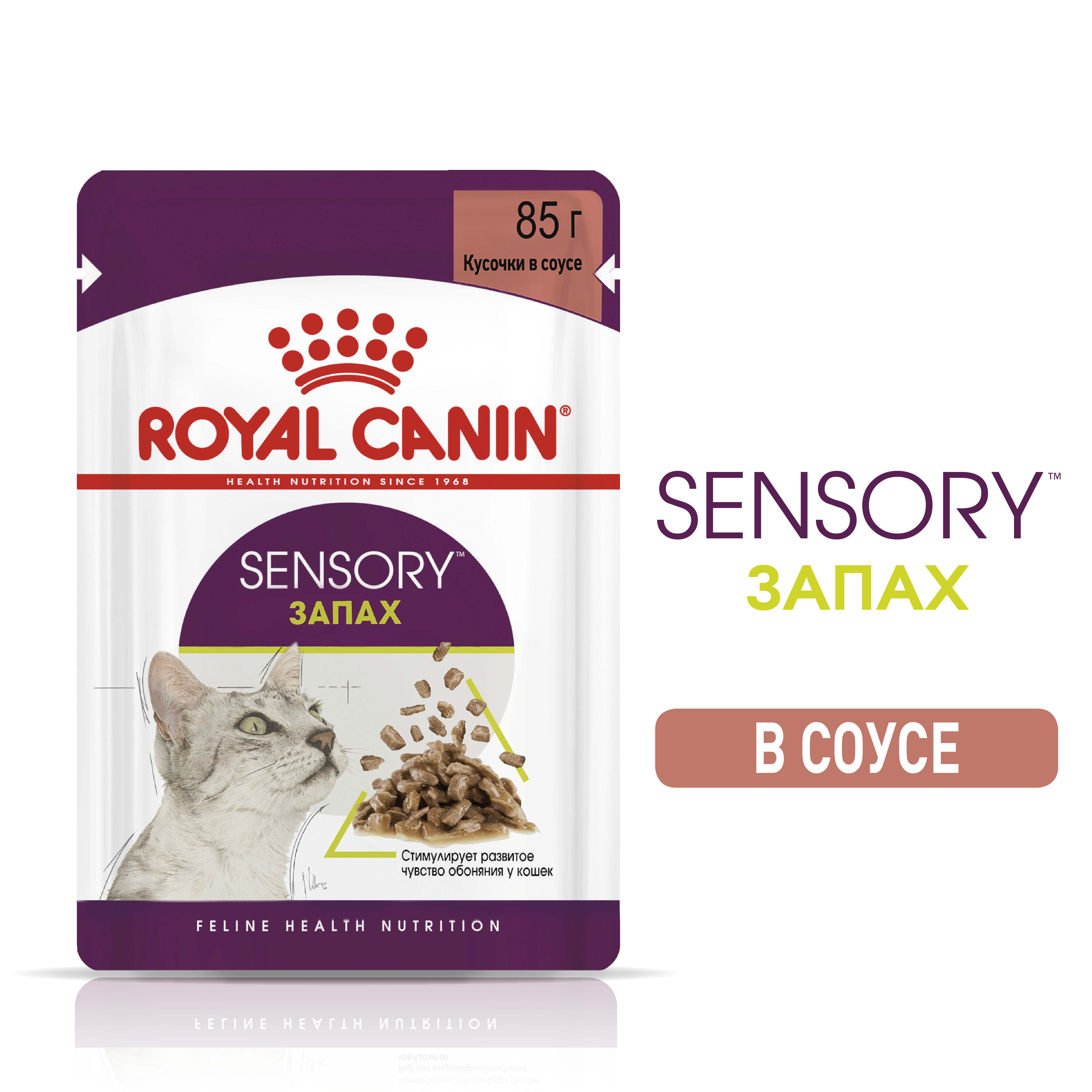 RC-SPT-WET-SensSmellCIG-MV-1_ph