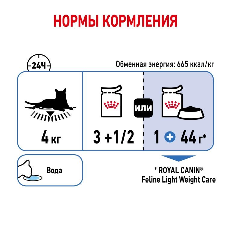 RC-SPT-WET-LightWeightGravy_rus7