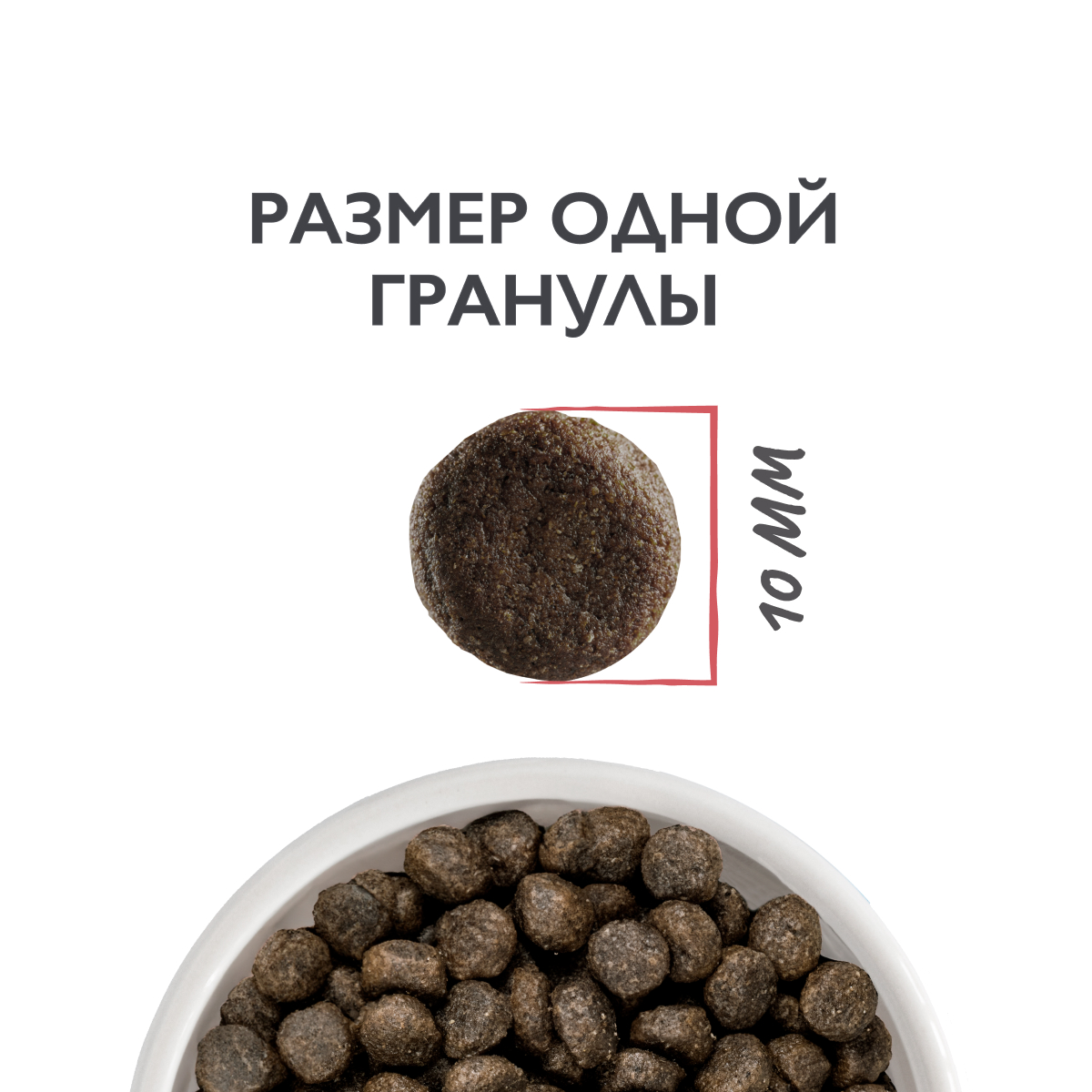 good-6fc28d04-d748-11f0-a5aa-b07b25e4d639