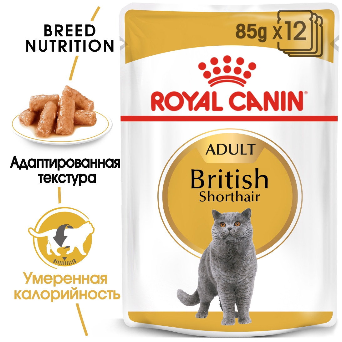 RC-FBN-Wet-BritishSH-MV-Eretailkit_-ru_RU_page-0001