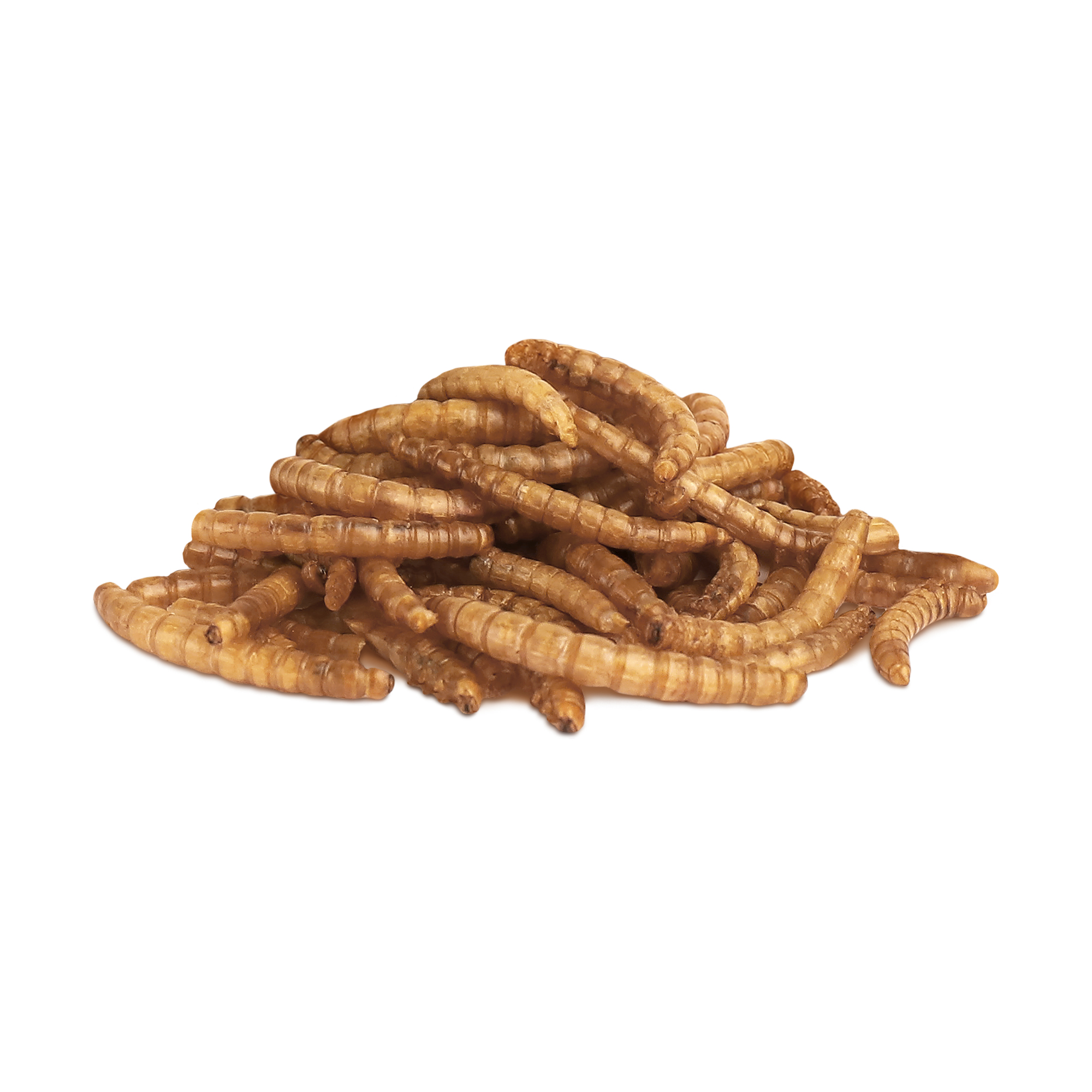 Little One_snack_mealworms_show