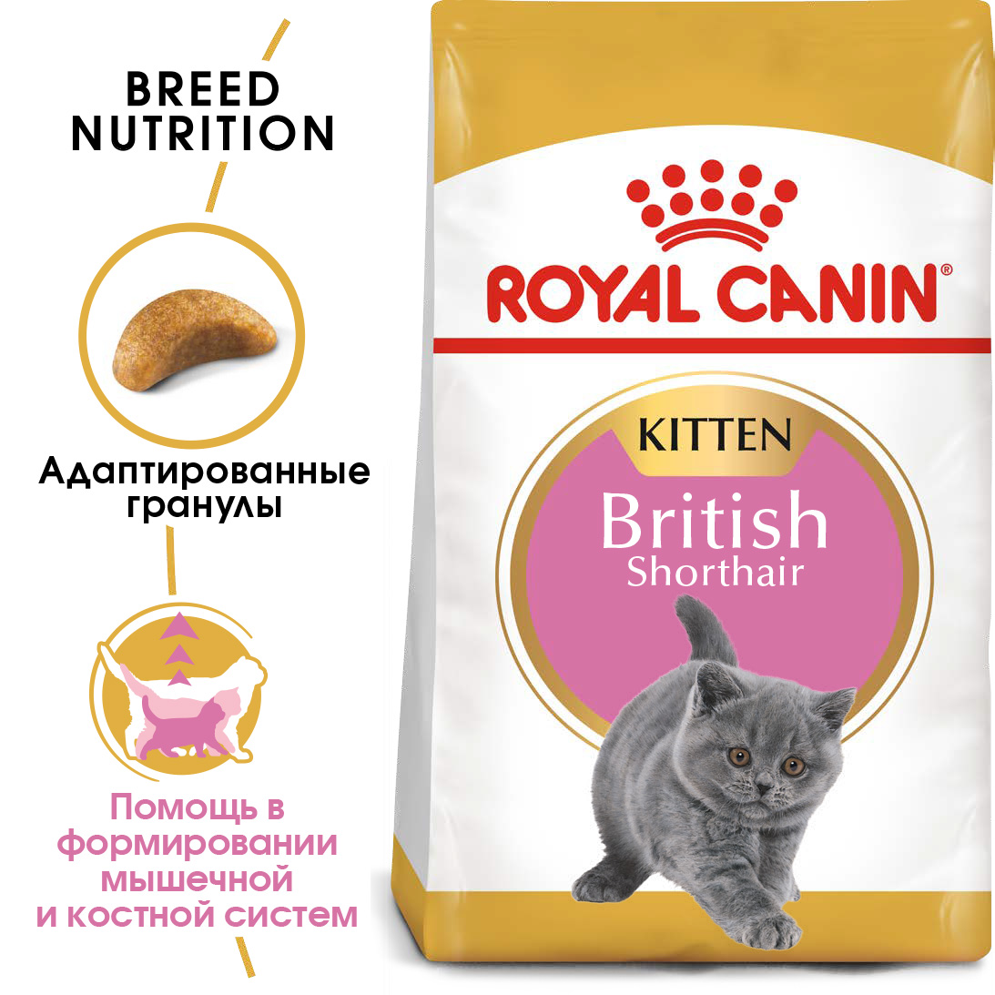 1_RC-FBN-KittenBritishShorthair-MV-EretailKit__rus