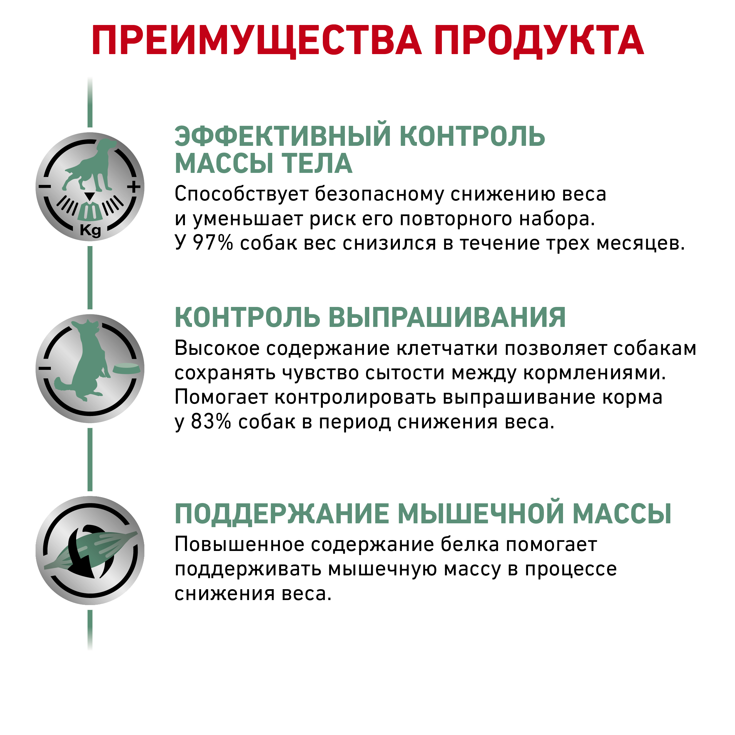 Сетаети Вейт Менеджмент (собаки)_4