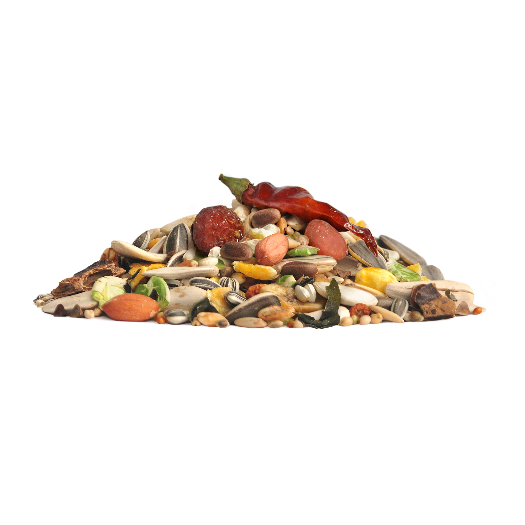 RIO_feed_parrots_show