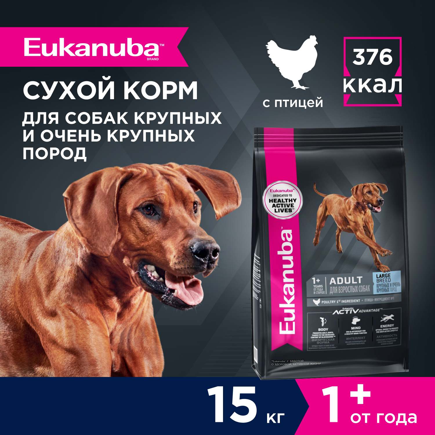 2-15kg-dry_Adult-Large-Breed