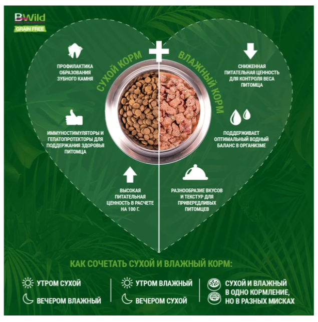 Снимок экрана 2023-08-09 123706