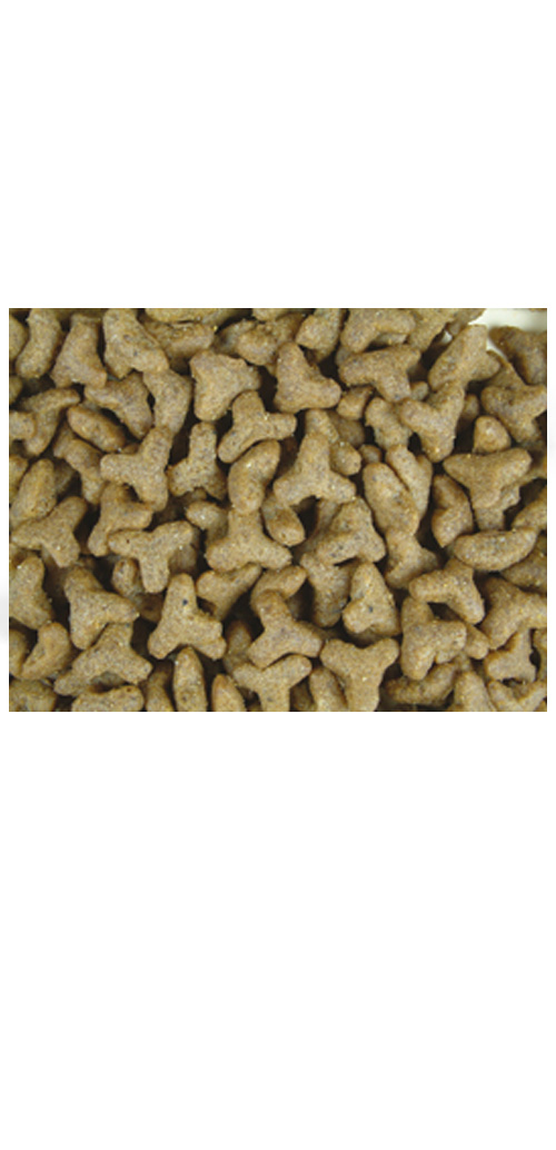 040 JosiCat Classic 2