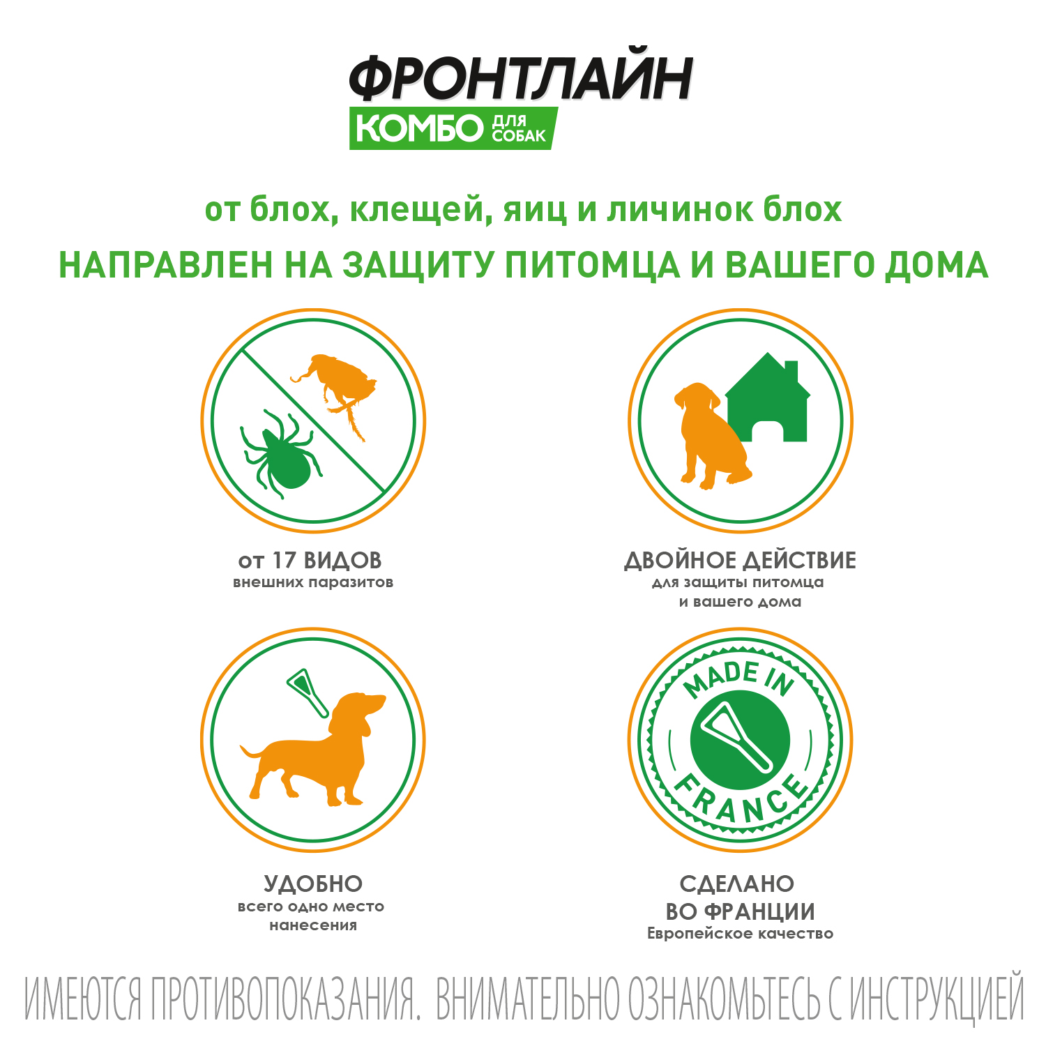 FCombo Dogs gallery 1 new