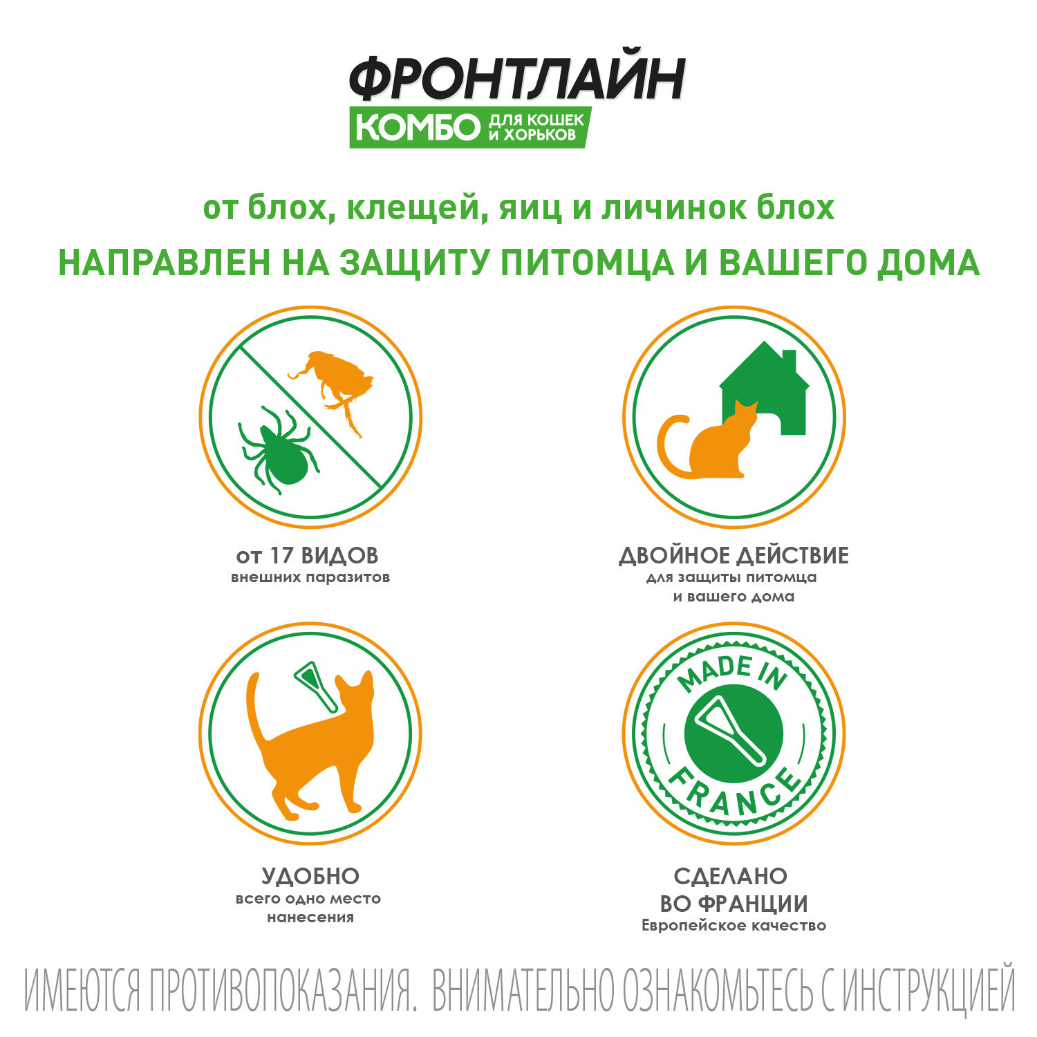 FCombo cats gallery 1 new