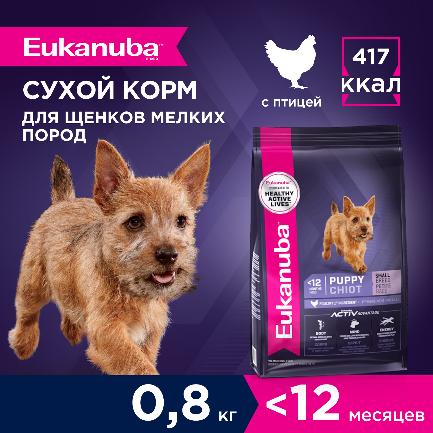 2-800g-dry_Puppy-Small-Breed