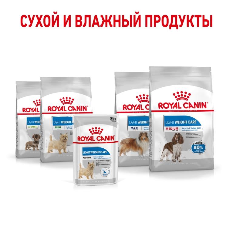 RC-SPT-WET-LightWeightAllSize_rus5