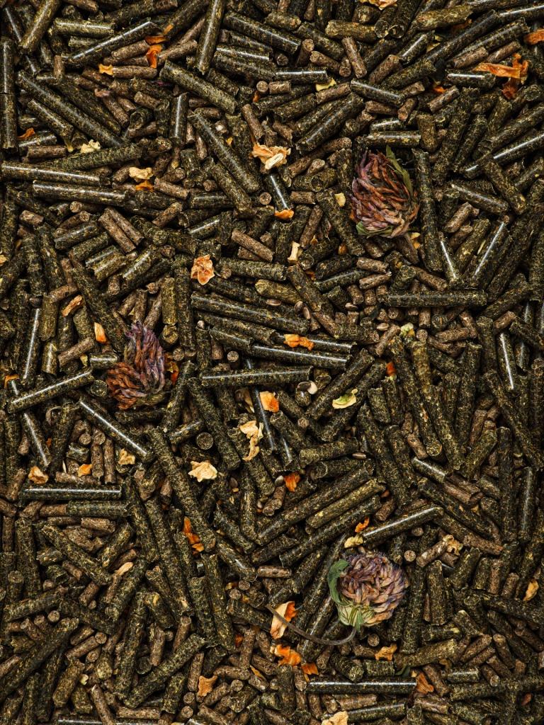 full_korm_dlya_shinshill